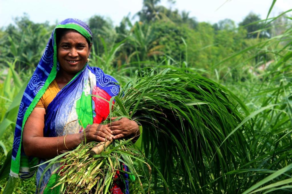 'Mujeres de la tierra': la FAO y el MAM visibilizan el papel de las agricultoras dominicanas
