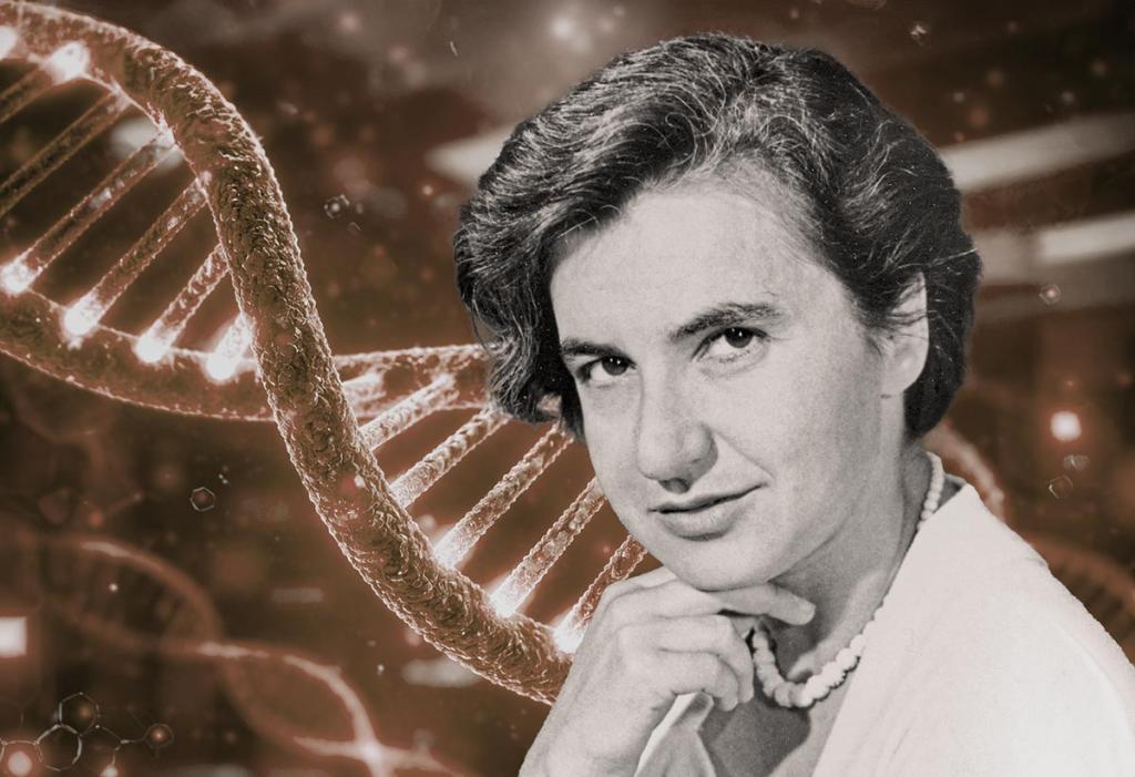 Rosalind Franklin: La arquitecta olvidada que mostró las bases de la vida